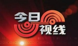今日视线爆料平台下载官网,下载官网背后的秘密与亮点